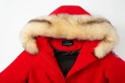 Paragoose - Dames Jas Winter Nina Heat Red- Model 2021 - Maat XL -ONLY Winkel 1200x799 3
