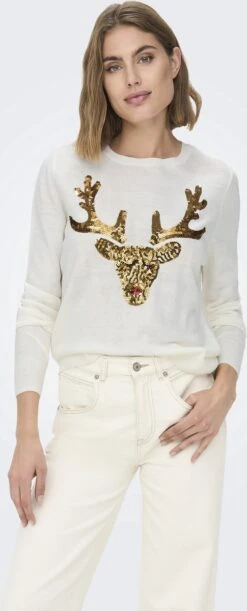 ONLY ONLXMAS L/S PULLOVER EX KNT Dames Trui - Maat L -ONLY Winkel 485x1200 2