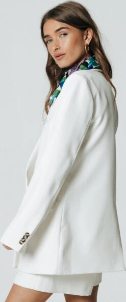 Colourful Rebel Rikki Double Breasted Boyfriend Blazer - M -ONLY Winkel 502x1200 4