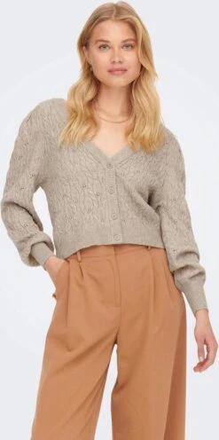 ONLY ONLFIA KATIA STRUCTURE CARDI CC KNT Dames Trui - Maat M 8 ONLY ONLFIA KATIA STRUCTURE CARDI CC KNT Dames Trui - Maat M -ONLY Winkel 597x1200 1