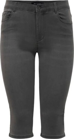 Only Carmakoma Caraugusta Capri Grijs Maat 44