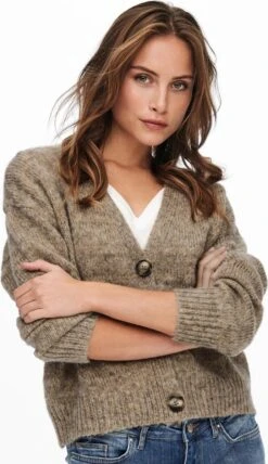 ONLY ONLCELINA LIFE L/S CARDIGAN CC KNT Dames Trui - Maat XL -ONLY Winkel 692x1200 2