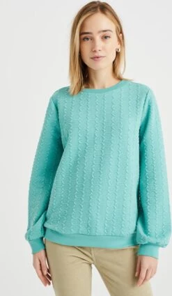 WE Fashion Dames Sweater Met Structuur -ONLY Winkel 698x1200 10