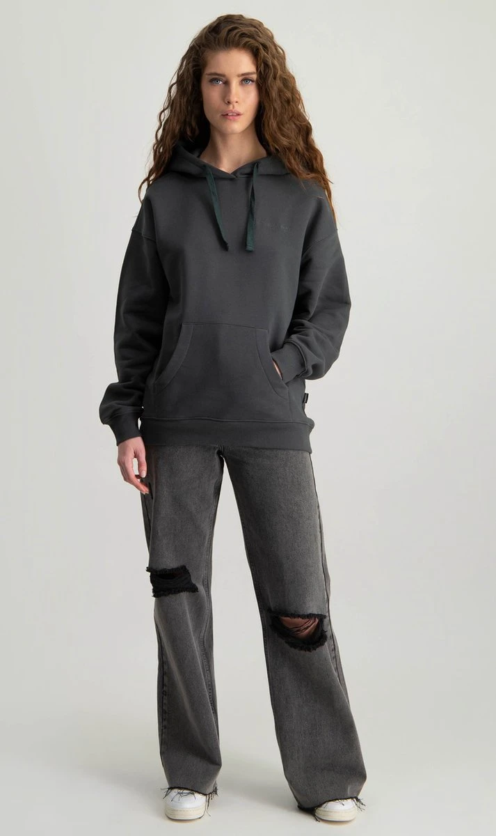 Colourful Rebel CLRFL RBL Tour Hoodie Grijs Dames - Oversized Fit - Polyester - S 13 Colourful Rebel CLRFL RBL Tour Hoodie Grijs Dames - Oversized Fit - Polyester - S - Afbeelding 11