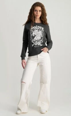 Colourful Rebel Golden Soul Trui Goud Dames - Katoen - M 15 Colourful Rebel Golden Soul Trui Goud Dames - Katoen - M -ONLY Winkel 738x1200 14