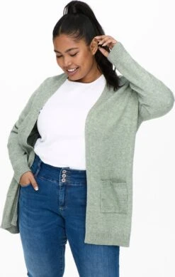 ONLY CARMAKOMA CARESLY L/S OPEN CARDIGAN KNT Dames Vest - Maat S-42/44 -ONLY Winkel 762x1200 7