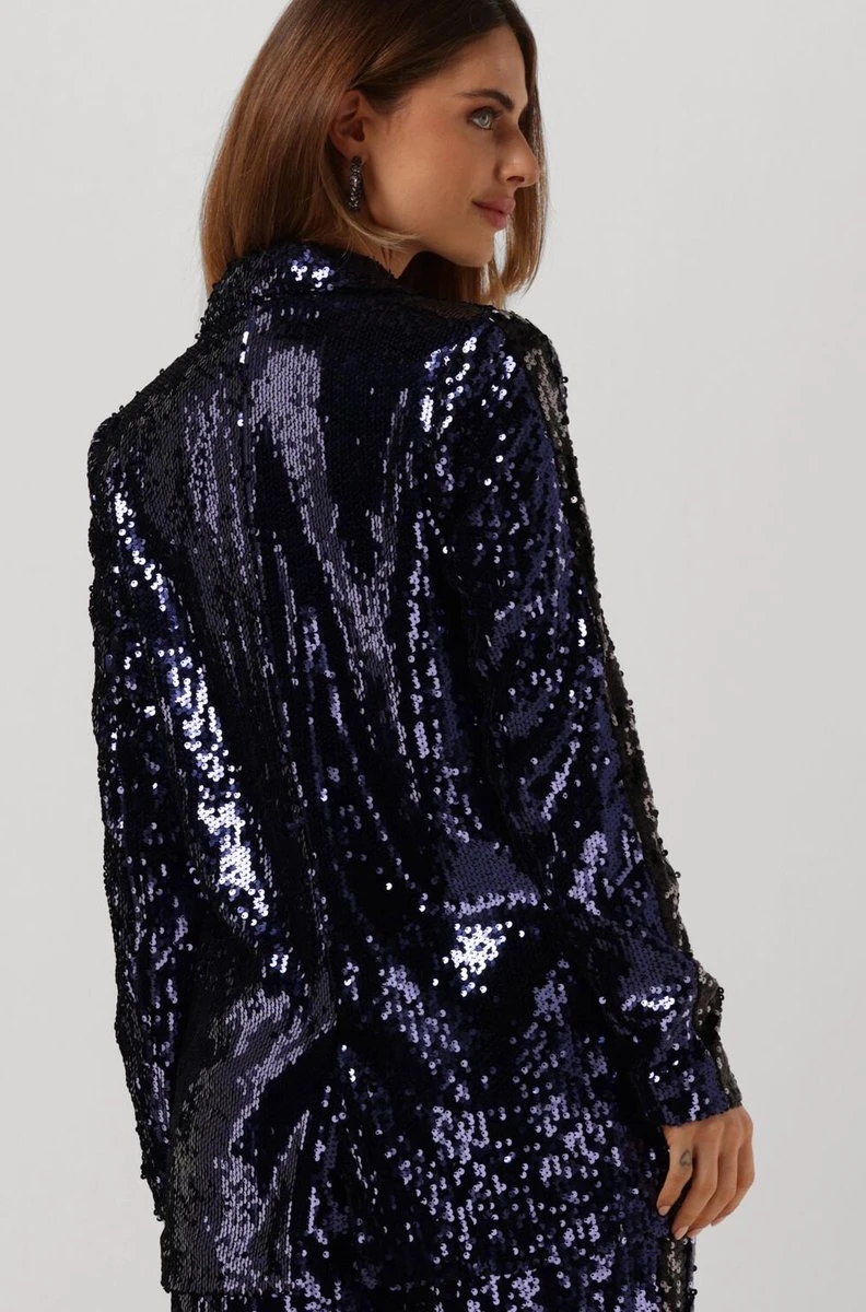 Colourful Rebel Ayla Sequins Single Breasted Boyfriend Blazer - S 11 Colourful Rebel Ayla Sequins Single Breasted Boyfriend Blazer - S - Afbeelding 9