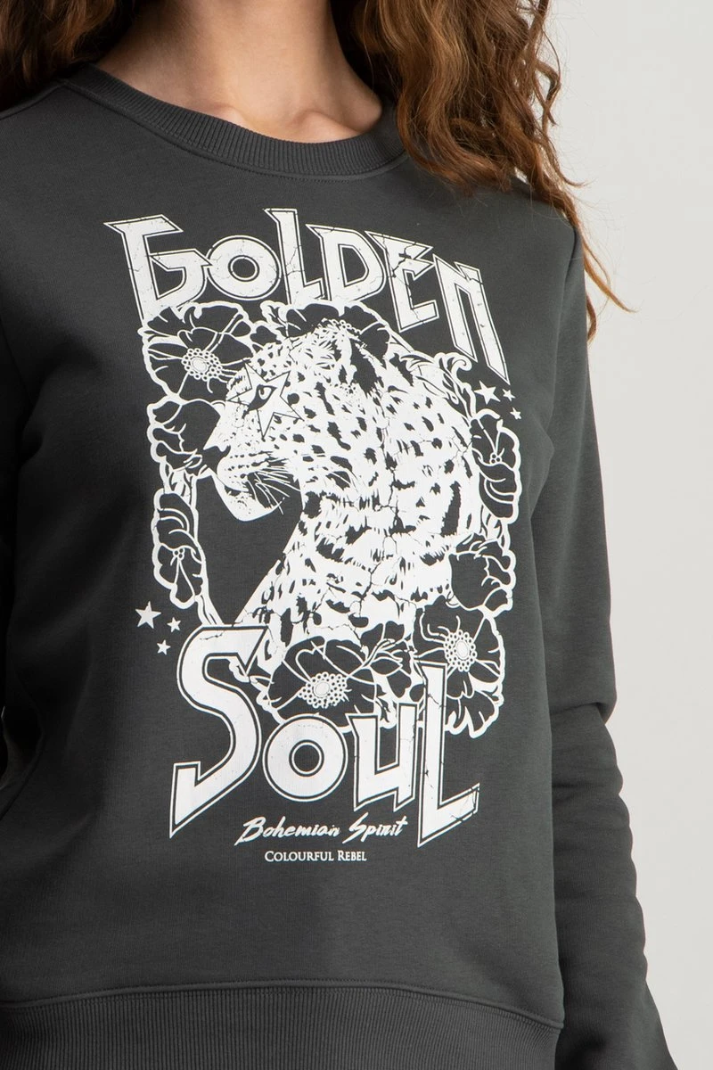 Colourful Rebel Golden Soul Trui Goud Dames - Katoen - M 7 Colourful Rebel Golden Soul Trui Goud Dames - Katoen - M - Afbeelding 5