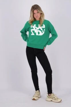 Raizzed Adults FALUN Dames Trui - Maat M 14 Raizzed Adults FALUN Dames Trui - Maat M -ONLY Winkel 800x1200 643