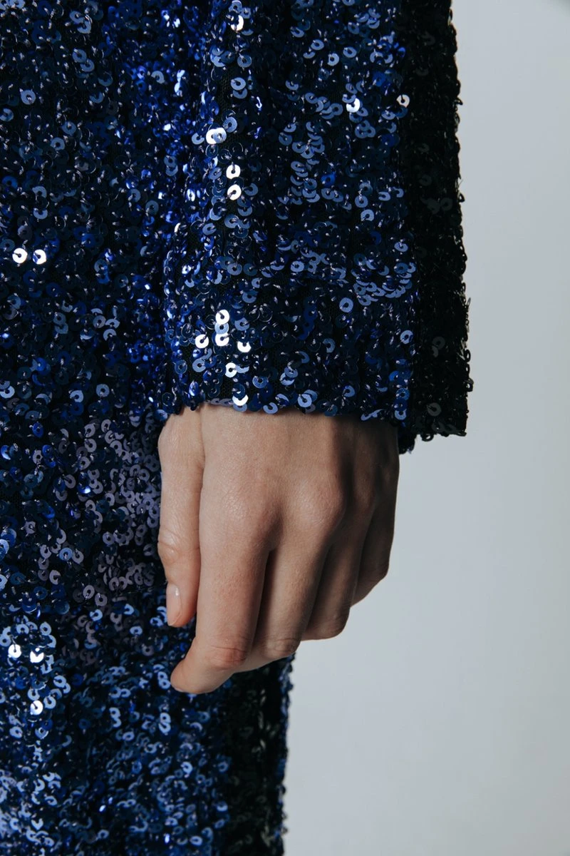 Colourful Rebel Ayla Sequins Single Breasted Boyfriend Blazer - S 7 Colourful Rebel Ayla Sequins Single Breasted Boyfriend Blazer - S - Afbeelding 5