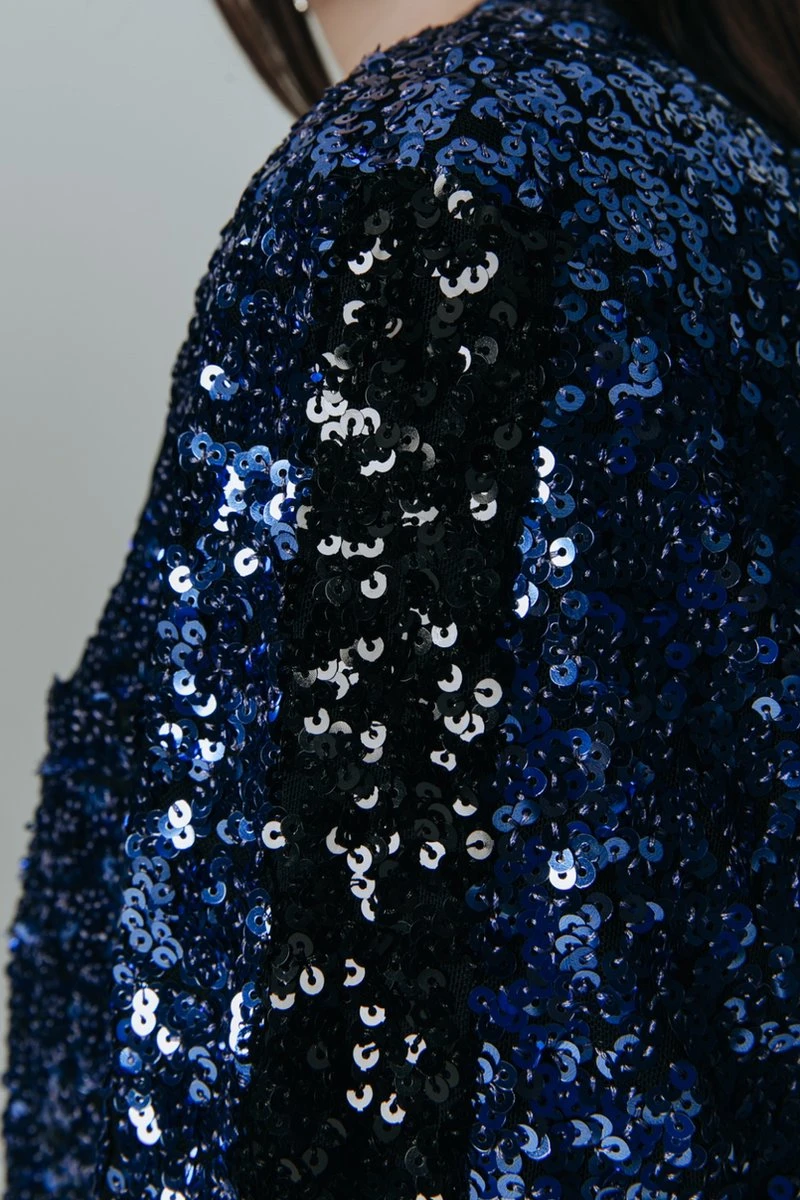 Colourful Rebel Ayla Sequins Single Breasted Boyfriend Blazer - S 8 Colourful Rebel Ayla Sequins Single Breasted Boyfriend Blazer - S - Afbeelding 6