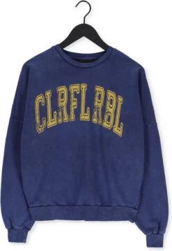 Colourful Rebel CR Acid Wash Trui Blauw Dames - Loose Fit - Katoen - M -ONLY Winkel 825x1200 2