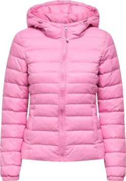 ONLY ONLTAHOE HOOD JACKET OTW NOOS Dames - Maat S