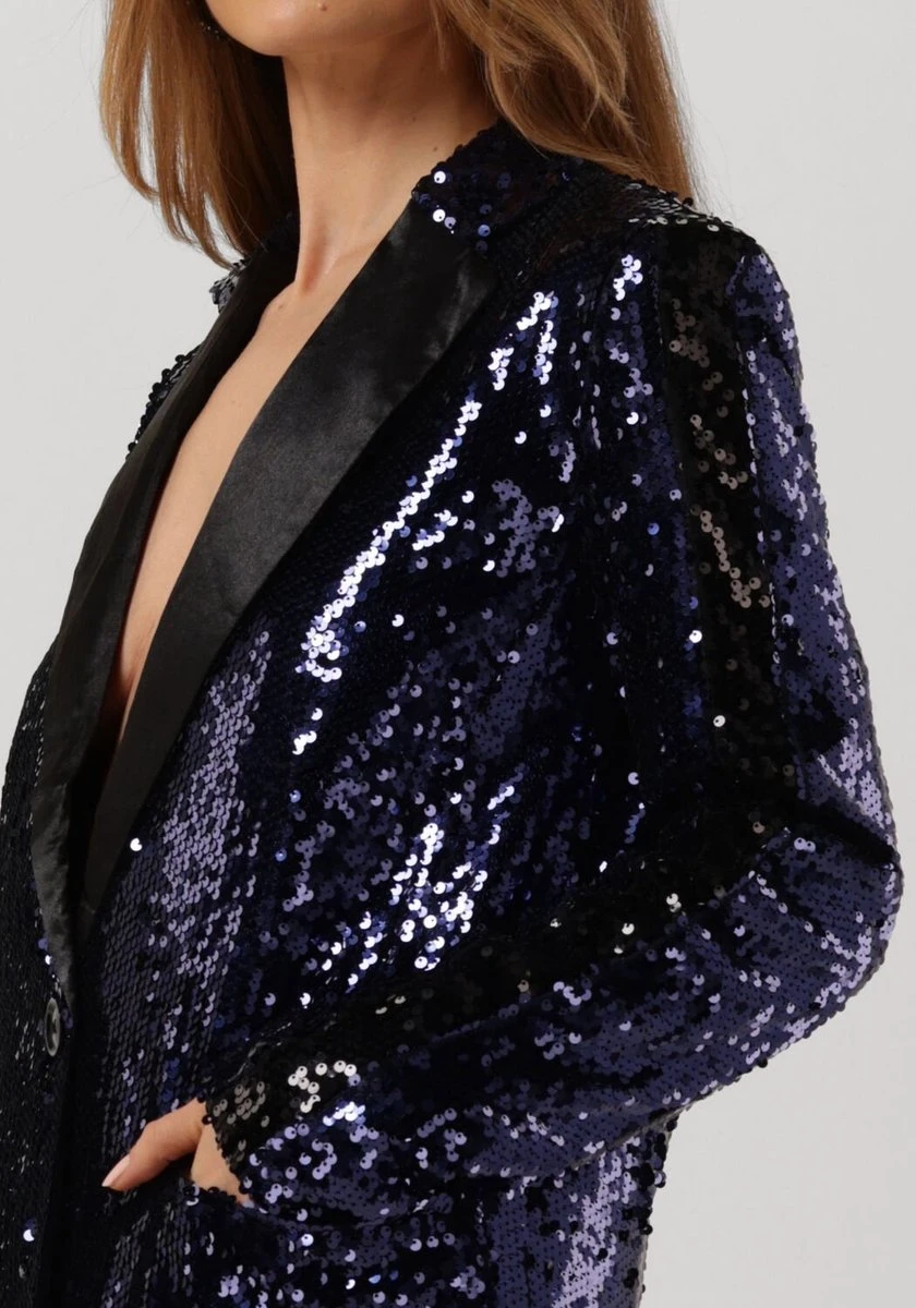 Colourful Rebel Ayla Sequins Single Breasted Boyfriend Blazer - S 10 Colourful Rebel Ayla Sequins Single Breasted Boyfriend Blazer - S - Afbeelding 8