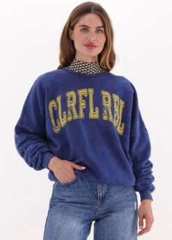 Colourful Rebel CR Acid Wash Trui Blauw Dames - Loose Fit - Katoen - M -ONLY Winkel 858x1200 14