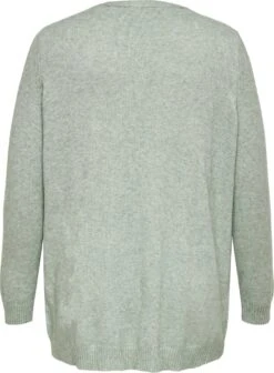 ONLY CARMAKOMA CARESLY L/S OPEN CARDIGAN KNT Dames Vest - Maat S-42/44 -ONLY Winkel 882x1200 6