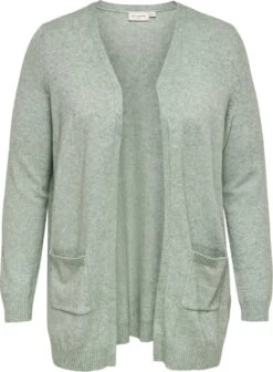 ONLY CARMAKOMA CARESLY L/S OPEN CARDIGAN KNT Dames Vest - Maat S-42/44 -ONLY Winkel 882x1200 7