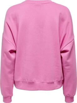 ONLY ONLOTTOLINE L/S 1995 BOX SWT Dames Sweatshirts - Maat S 5 ONLY ONLOTTOLINE L/S 1995 BOX SWT Dames Sweatshirts - Maat S -ONLY Winkel 905x1200 14