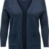 ONLY CARMAKOMA CARESLY L/S OPEN CARDIGAN KNT Dames Vest - Maat M-46/48