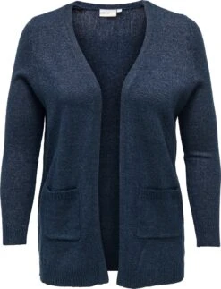 ONLY CARMAKOMA CARESLY L/S OPEN CARDIGAN KNT Dames Vest - Maat L-50/52 -ONLY Winkel 917x1200 11