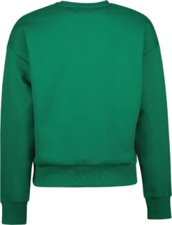 Raizzed Adults FALUN Dames Trui - Maat M 12 Raizzed Adults FALUN Dames Trui - Maat M -ONLY Winkel 919x1200 6